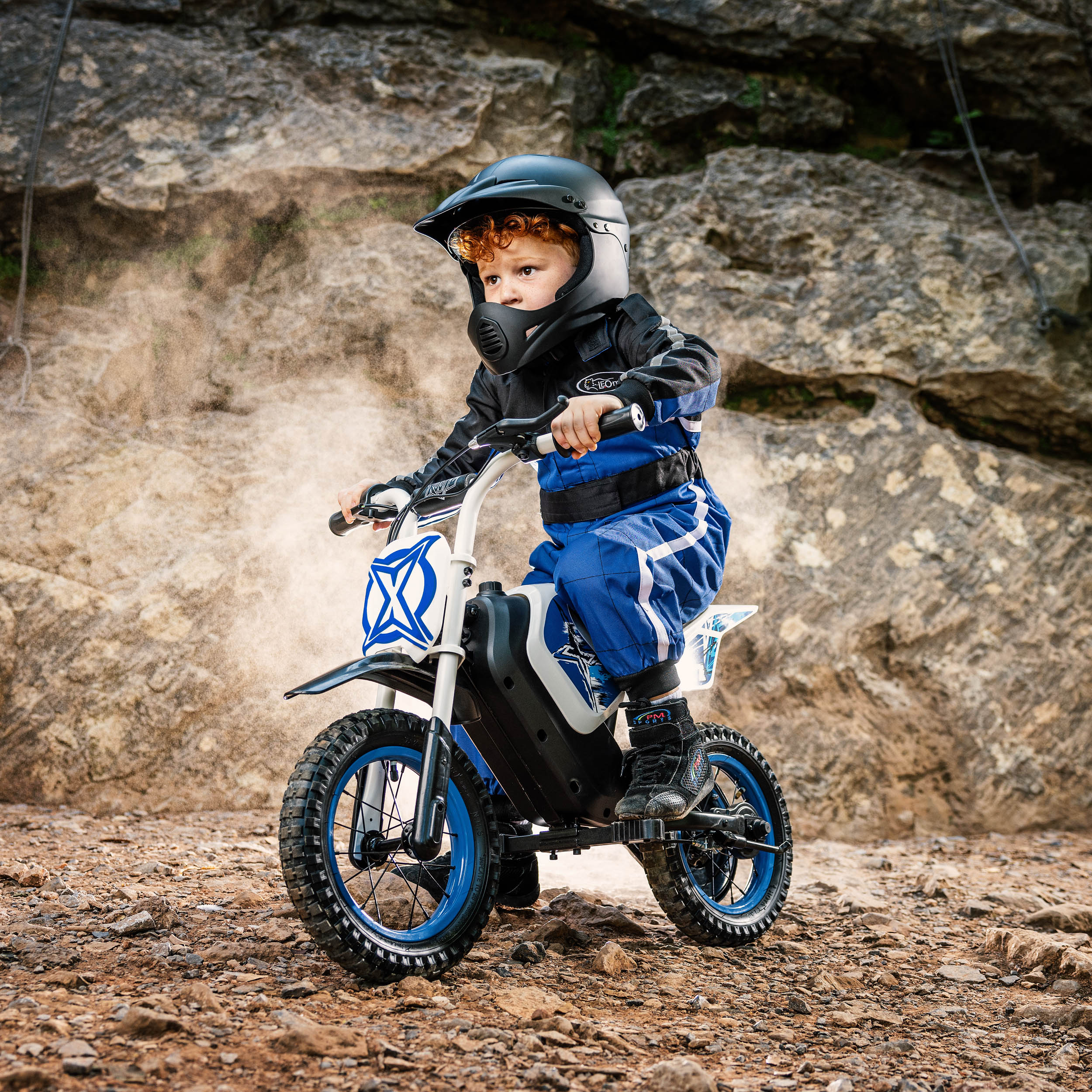 ebike