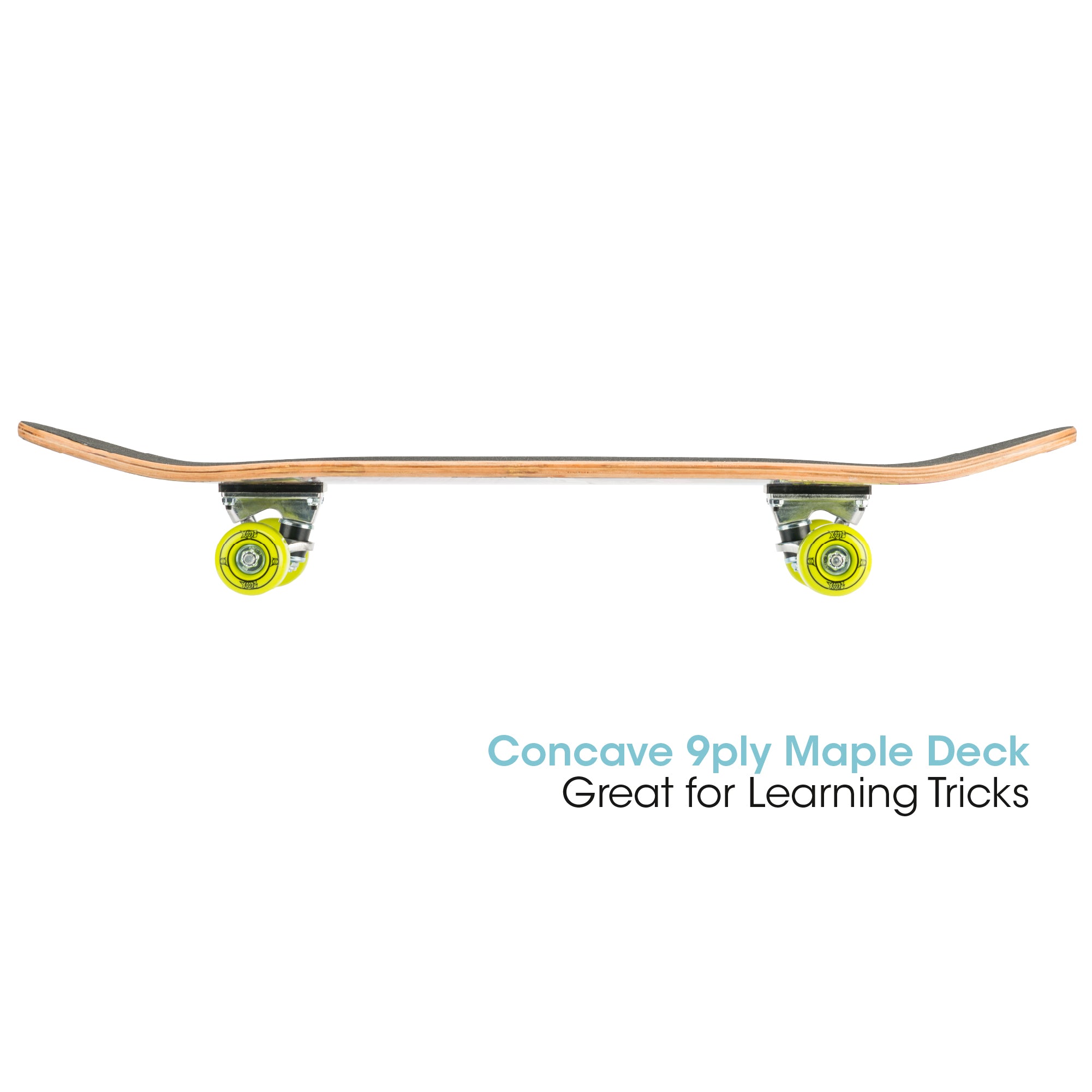 maple deck skateboard 
